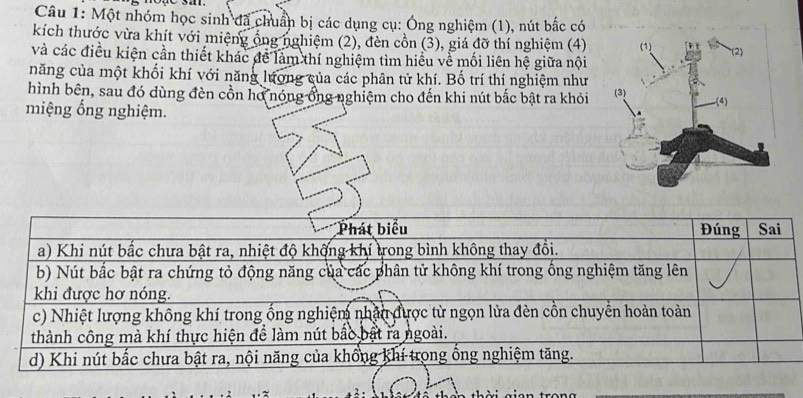 Solved Một nhóm học sinh đã chuẩn bị các dụng cụ Ông nghiệm 1 nút