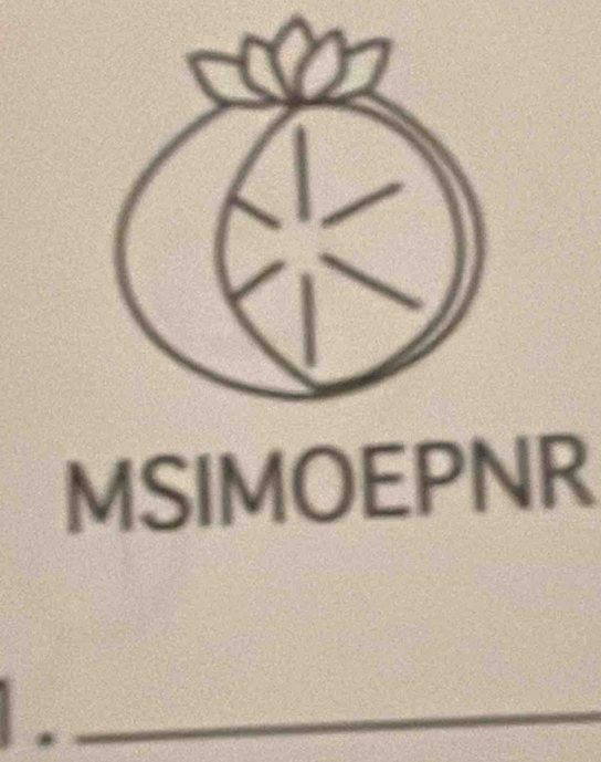 MSIMOEPNR 
_