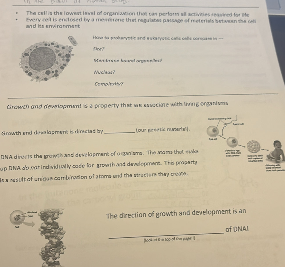 The cell is the lowest level of organization that can perform all activities required for life 
Every cell is enclosed by a membrane that regulates passage of materials between the cell 
and its environment 
How to prokaryotic and eukaryotic cells cells compare in ---- 
Size? 
Membrane bound organelles? 
Nucleus? 
Complexity? 
_ 
Growth and development is a property that we associate with living organisms 
Growth and development is directed by _(our genetic material). 
DNA directs the growth and development of organisms. The atoms that make 
up DNA do not individually code for growth and development. This property 
is a result of unique combination of atoms and the structure they create. 
The direction of growth and development is an 
_ 
of DNA! 
(look at the top of the page!!)