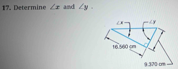 Determine ∠ x and ∠ y.