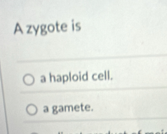 A zygote is
a haploid cell.
a gamete.