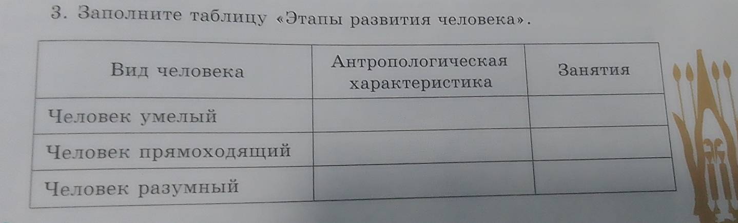 Заполните таблицу «Этацы развития человека».