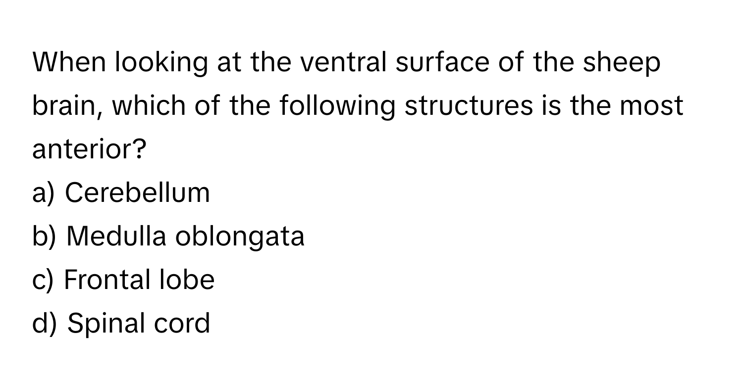 When looking at the ventral surface of the sheep brain, which of the following structures is the most anterior?

a) Cerebellum
b) Medulla oblongata
c) Frontal lobe
d) Spinal cord