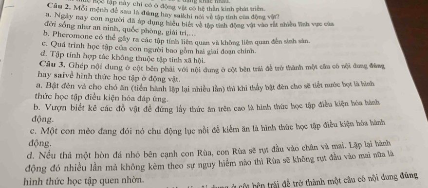 Gạng khe nh
lc học tập này chỉ có ở động vật có hệ thần kinh phát triển.
Câu 2. Mỗi mệnh đề sau là đứng hay saikhi nói về tập tính của động vật?
a. Ngày nay con người đã áp dụng hiều biết về tập tính động vật vào rắt nhiều lĩnh vực của
đời sống như an ninh, quốc phòng, giải trí,.
b. Pheromone có thể gây ra các tập tính liên quan và không liên quan đến sinh sản.
c. Quá trình học tập của con người bao gồm hai giai đoạn chính.
d. Tập tính hợp tác không thuộc tập tính xã hội.
Câu 3. Ghép nội dung ở cột bên phải với nội dung ở cột bên trái đề trở thành một câu có nội dung đúng
hay saivề hình thức học tập ở động vật.
a. Bật đèn và cho chó ăn (tiền hành lặp lại nhiều lần) thì khi thấy bật đèn cho sẽ tiết nước bọt là hình
thức học tập điều kiện hóa đáp ứng.
b. Vượn biết kê các đồ vật đề đứng lấy thức ăn trên cao là hình thức học tập điều kiện hóa hành
động.
c. Một con mèo đang đói nó chu động lục nồi đề kiểm ăn là hình thức học tập điều kiện hóa hành
động.
d. Nếu thả một hòn đá nhỏ bên cạnh con Rùa, con Rùa sẽ rụt đầu vào chân và mai. Lặp lại hành
động đó nhiều lần mà không kèm theo sự nguy hiểm nào thì Rùa sẽ không rụt đầu vào mai nữa là
hình thức học tập quen nhờn.
CỞ cột bện trái đề trở thành một câu có nội dung đúng