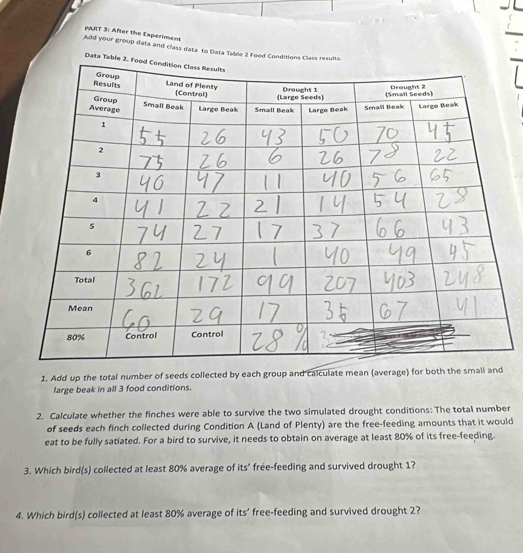 After the Experiment 
Add your group data and class data to Data Table 2 Food Cond 
Data T 
1. Add up the total number of seeds collected by each group and calculate mean (average) for both the small and 
large beak in all 3 food conditions. 
2. Calculate whether the finches were able to survive the two simulated drought conditions: The total number 
of seeds each finch collected during Condition A (Land of Plenty) are the free-feeding amounts that it would 
eat to be fully satiated. For a bird to survive, it needs to obtain on average at least 80% of its free-feeding. 
3. Which bird(s) collected at least 80% average of its’ frée-feeding and survived drought 1? 
4. Which bird(s) collected at least 80% average of its' free-feeding and survived drought 2?