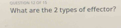 OF 15 
What are the 2 types of effector?