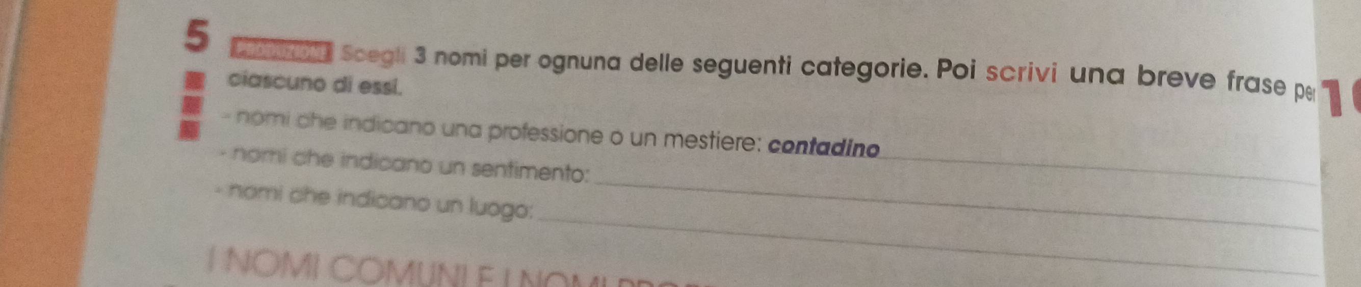 a scegli 3 nomi per ognuna delle seguenti categorie. Poi scrivi una breve frase p 
ciascuno di essi. 
- nomi che indicano una professione o un mestiere: contadino 
_ 
- nomi che indicano un sentimento:_ 
_ 
- nomi che indicano un luogo: 
I NOMI COMUNI E L NOMI