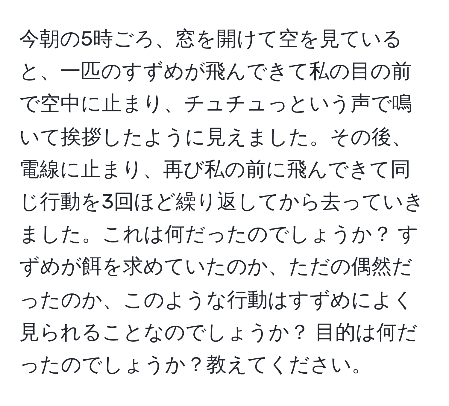 今朝の5時ごろ、窓を開けて空を見ていると、一匹のすずめが飛んできて私の目の前で空中に止まり、チュチュっという声で鳴いて挨拶したように見えました。その後、電線に止まり、再び私の前に飛んできて同じ行動を3回ほど繰り返してから去っていきました。これは何だったのでしょうか？ すずめが餌を求めていたのか、ただの偶然だったのか、このような行動はすずめによく見られることなのでしょうか？ 目的は何だったのでしょうか？教えてください。