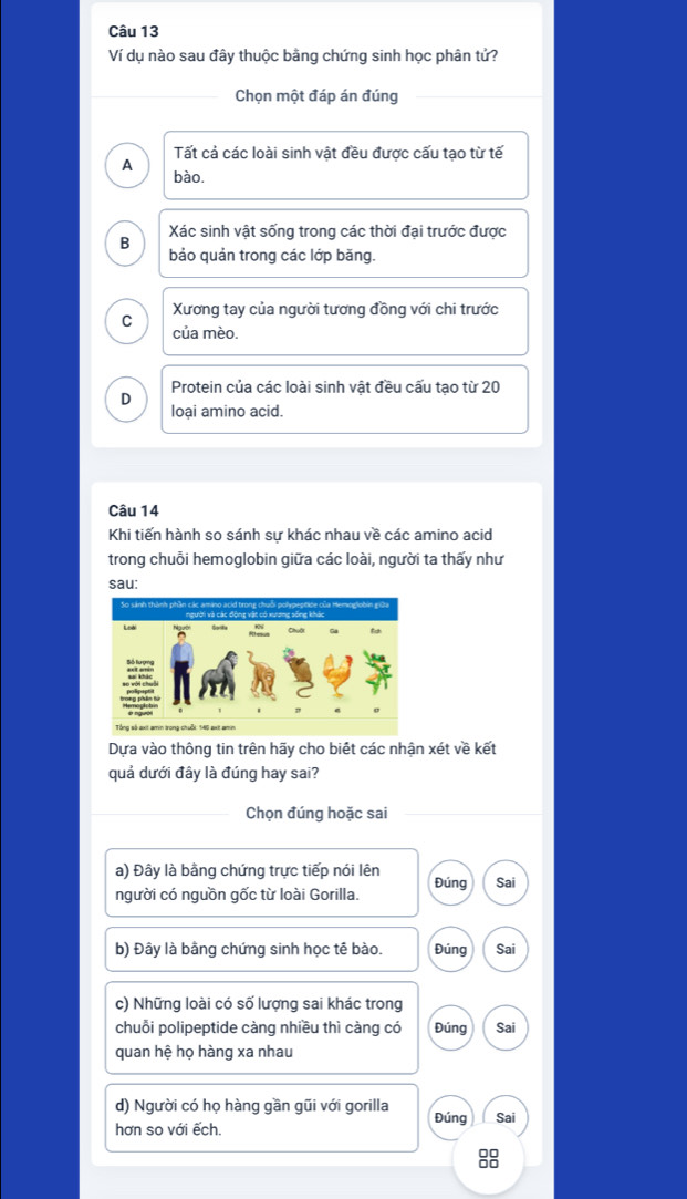 Ví dụ nào sau đây thuộc bằng chứng sinh học phân tử?
Chọn một đáp án đúng
Tất cả các loài sinh vật đều được cấu tạo từ tế
A
bào.
Xác sinh vật sống trong các thời đại trước được
B
bảo quản trong các lớp băng.
C Xương tay của người tương đồng với chi trước
của mèo.
Protein của các loài sinh vật đều cấu tạo từ 20
D
loại amino acid.
Câu 14
Khi tiến hành so sánh sự khác nhau về các amino acid
trong chuỗi hemoglobin giữa các loài, người ta thấy như
sau:
Dựa vào thông tin trên hãy cho biết các nhận xét về kết
quả dưới đây là đúng hay sai?
Chọn đúng hoặc sai
a) Đây là bằng chứng trực tiếp nói lên
người có nguồn gốc từ loài Gorilla. Đúng Sai
b) Đây là bằng chứng sinh học tế bào. Đúng Sai
c) Những loài có số lượng sai khác trong
chuỗi polipeptide càng nhiều thì càng có Đúng Sai
quan hệ họ hàng xa nhau
d) Người có họ hàng gần gũi với gorilla Đúng Sai
hơn so với ếch.
8