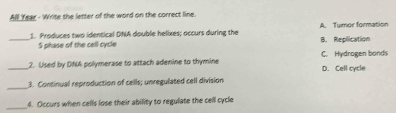 All Year - Write the letter of the word on the correct line.
A. Turor formation
_1. Produces two identical DNA double helixes; occurs during the
S phase of the cell cycle B. Replication
C. Hydrogen bonds
_2. Used by DNA polymerase to attach adenine to thymine
D. Cell cycle
_3. Continual reproduction of cells; unregulated cell division
_4. Occurs when cells lose their ability to regulate the cell cycle