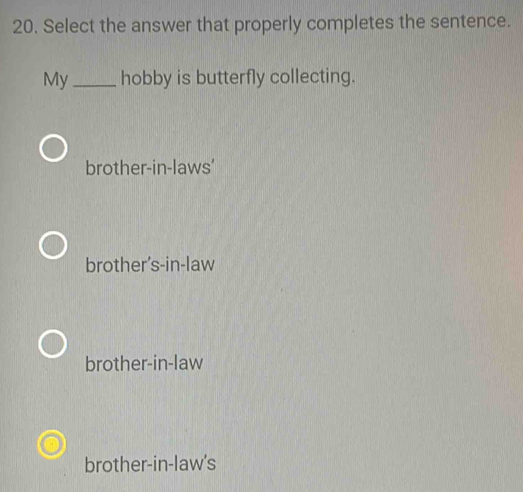 Select the answer that properly completes the sentence.
My _hobby is butterfly collecting.
brother-in-laws'
brother's-in-law
brother-in-law
brother-in-law's