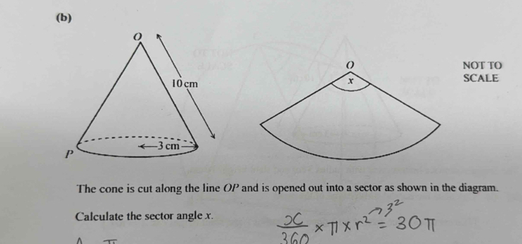 NOT TO 
SCALE 
The cone is cut along the line OP and is opened out into a sector as shown in the diagram. 
Calculate the sector angle x.