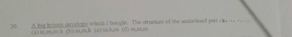 A big brown envelope which I bought. The structure of the underlined part () _
(a) m, m, m h (b) m, m, h (c) m, h, m (d) m, m, m