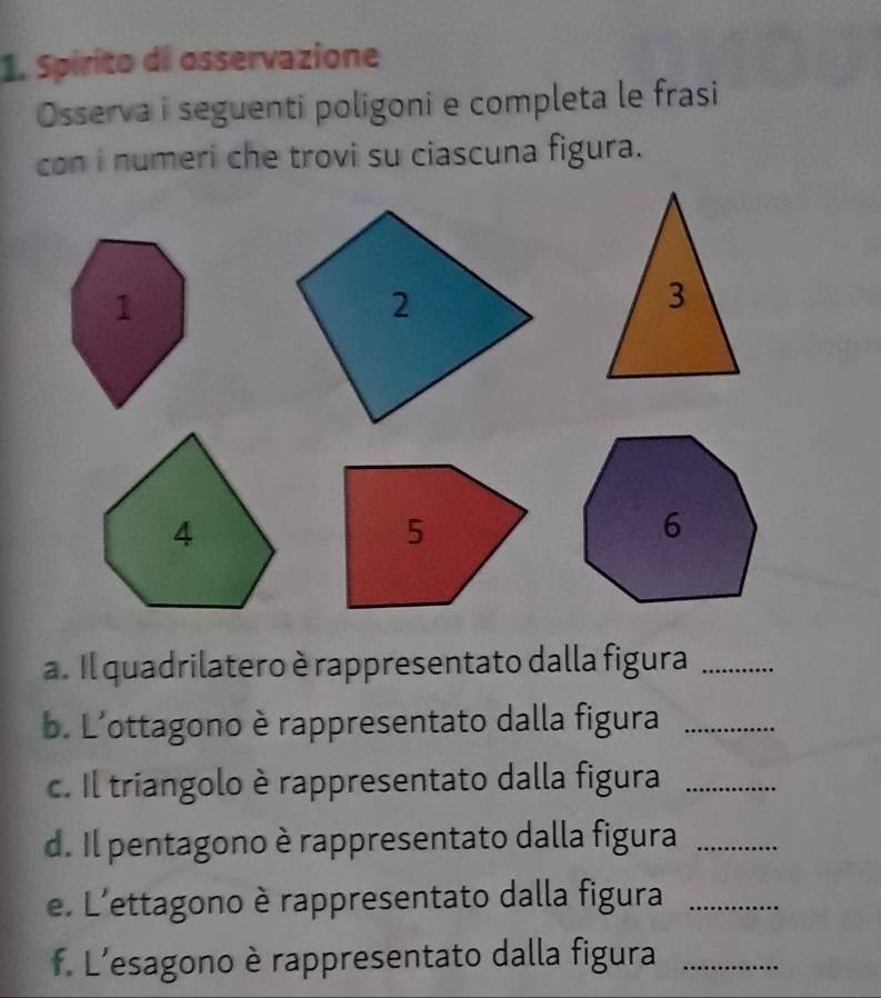 Spirito di osservazione 
Osserva i seguenti poligoni e completa le frasi 
con i numeri che trovi su ciascuna figura. 
a. Il quadrilatero è rappresentato dalla figura_ 
b. L'ottagono è rappresentato dalla figura_ 
c. Il triangolo è rappresentato dalla figura_ 
d. Il pentagono è rappresentato dalla figura_ 
e. L'ettagono è rappresentato dalla figura_ 
f. L'esagono è rappresentato dalla figura_