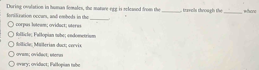 During ovulation in human females, the mature egg is released from the _, travels through the_ where
fertilization occurs, and embeds in the _.
corpus luteum; oviduct; uterus
follicle; Fallopian tube; endometrium
follicle; Müllerian duct; cervix
ovum; oviduct; uterus
ovary; oviduct; Fallopian tube