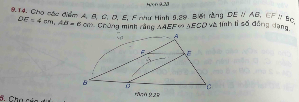 Hình 9.28 
9.14. Cho các điểm A, B, C, D, E, F như Hình 9.29. Biết rằng DE//AB, EF//BC, và tính tỉ số đồng dạng.
DE=4cm, AB=6cm. Chứng minh rằng △ AEFsim △ ECD
5. Cho các