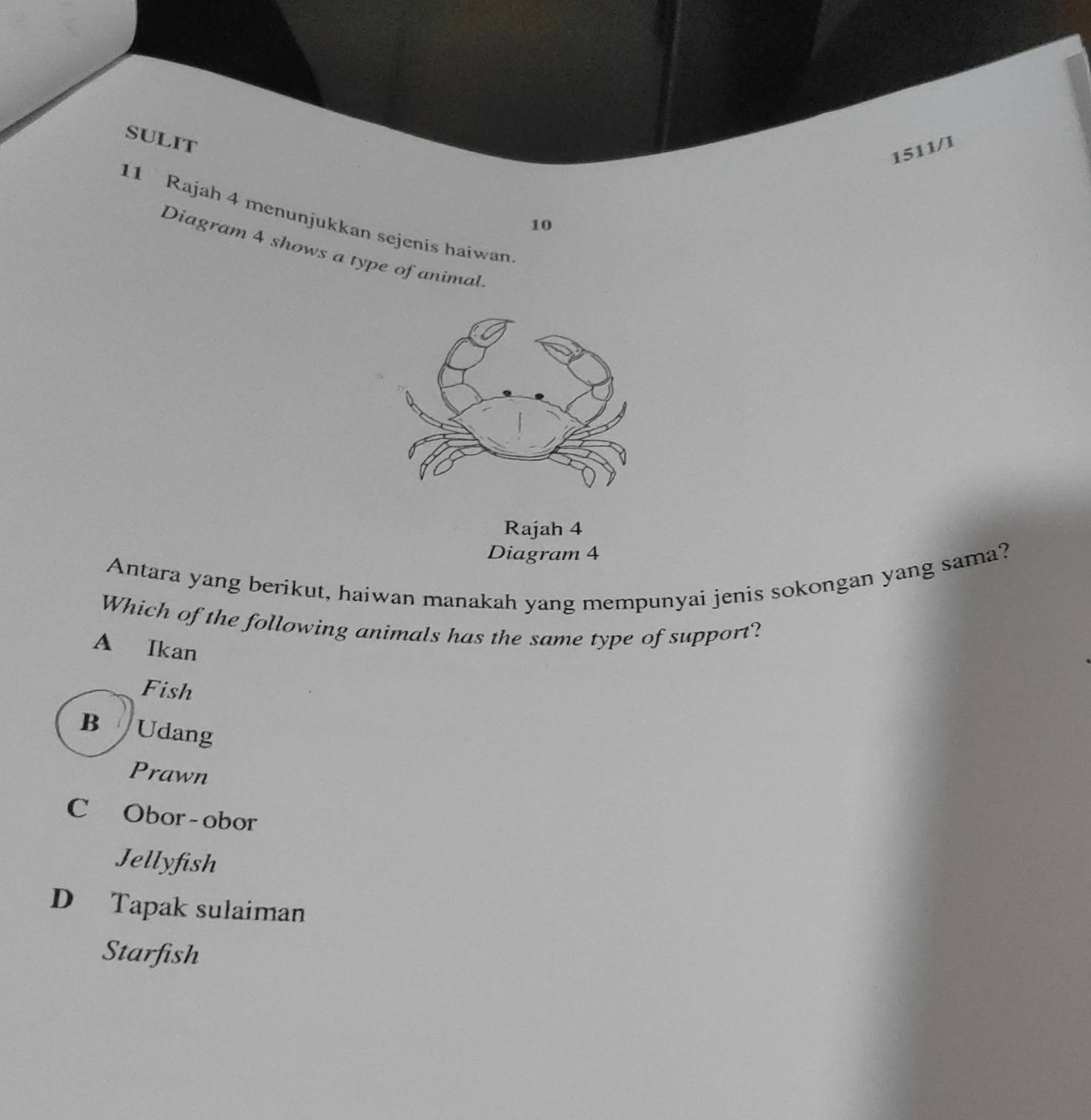 SULIT
1511/1
11 Rajah 4 menunjukkan sejenis haiwan
10
Diagram 4 shows a type of animal
Rajah 4
Diagram 4
Antara yang berikut, haiwan manakah yang mempunyai jenis sokongan yang sama?
Which of the following animals has the same type of support?
A Ikan
Fish
B Udang
Prawn
C £Obor-obor
Jellyfish
D Tapak sulaiman
Starfish