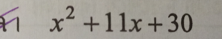 1 x^2+11x+30