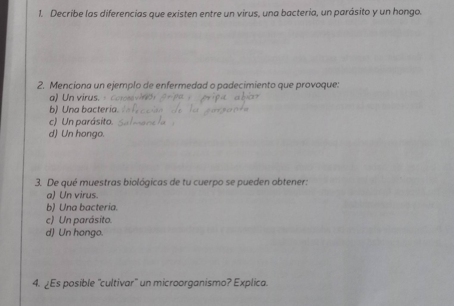 Decribe las diferencias que existen entre un virus, una bacteria, un parásito y un hongo.
2. Menciona un ejemplo de enfermedad o padecimiento que provoque:
a) Un virus.
b) Una bacteria.
c) Un parásito.
d) Un hongo.
3. De qué muestras biológicas de tu cuerpo se pueden obtener:
a) Un virus.
b) Una bacteria.
c) Un parásito.
d) Un hongo.
4. Es posible “cultivar” un microorganismo? Explica.