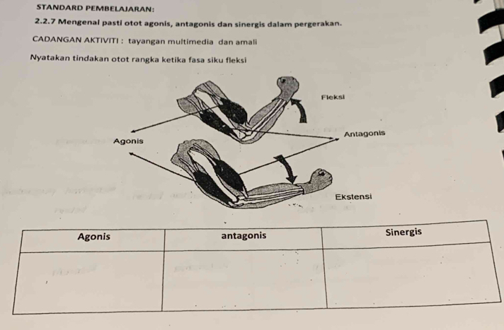 STANDARD PEMBELAJARAN: 
2.2.7 Mengenal pasti otot agonis, antagonis dan sinergis dalam pergerakan. 
CADANGAN AKTIVITI : tayangan multimedia dan amali 
Nyatakan tindakan otot rangka ketika fasa siku fleksi 
Agonis antagonis Sinergis