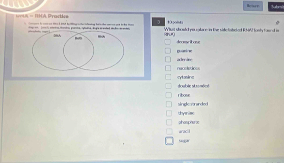 Return Submil
* NA - RNA Practico
10 points
t Compors is cot et 1A. 8 194 by fing in the fellewing to in the correnr spot bo ke Vieen 3 What should you place in the side labeled RNA2 (only found in
shiphat sp egrom. (oroc), alenino, thum ine, guanina, cytcaina, angle stranded, dsubie atrandad.
DNA Both
RNA RNA)
deaxyribase
guanine
adenine
nucelotides
cytosine
double stranded
ribose
single stranded
thymine
phosphate
uracil
sugar