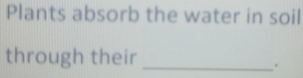 Plants absorb the water in soil 
through their_ 
.