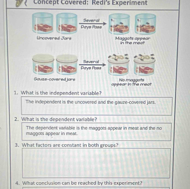 Concept Covered: Redi’s Experiment
1. What is the independent variable?
The independent is the uncovered and the gauze-covered jars.
2. What is the dependent variable?
The dependent variable is the maggots appear in meat and the no
maggots appear in meat.
3. What factors are constant in both groups?
4. What conclusion can be reached by this experiment?