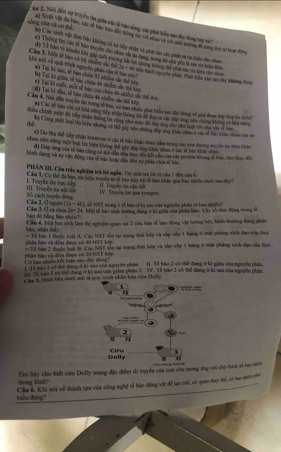 sống của cả cơ thể.
2ầu 2. Nói đến sự truyền tin giữa các tế bảo sống, các phát biểu sau đây đùng hay sai
a) Sinh vật đa bảo, các tế bào trao đổi thông tin với nhau và với môi trường để cùng duy trì hoạt động
b) Các sinh vật đơn bảo không có sự tiếp nhận và phát tán các phân tử tin hiệu cho nhau
c) Thông tin các tế bào truyền cho nhau rất đa dạng, trong đó chủ yếu là các tin hiệu điện
d) Tế bào vị khuẩn khi gặp môi trường bắt lợi chúng không thể phát tán tín hiệu cho nhau
khi nói về quá trình nguyên phân của tế bảo này?
Câu 3. Một tế bào có bộ nhiễm sắc thể 2n=46 tiền hành nguyên phân. Phát biểu nào sau đây không đủng
a) Tại kỉ sau, tế bào chứa 92 nhiễm sắc thể kép
b) Tại kỉ giữa, tế bảo chứa 46 nhiễm sắc thể kép.
c) Tại kì cuối, mỗi tế bào con chứa 46 nhiễm sắc thể đơn.
d) Tại kì đầu, tế bào chứa 46 nhiễm sắc thế kép
Câu 4. Nói đến truyền tin trong tế bào, có bao nhiêu phát biểu sau đây đùng về giai đoạn đáp ứng tin hiệu
a) Các tế bào chỉ có khả năng tiếp nhận thông tin để đưa ra các đáp ứng, nên chúng không có khả năng
điều chỉnh mức độ tiếp nhận thông tin cũng như mức độ đáp ứng cho phù hợp với nhu cầu tế bào
thể.
b) Cùng một loại tín hiệu nhưng có thể gây nên những đáp ứng khác nhau ở các tế bão khác nhau của cơ
c) Do thụ thể tiếp nhận hormone ở các tế bảo khác nhau nằm trong các con đường truyền tín hiệu khác
nhau nên cùng một loại tín hiệu không thể gây đáp ứng khác nhau ở các tế bảo khác nhau.
d) Đáp ứng của tế bảo cũng có thể dân đên thay đôi kết cầu của các protein khung tế bào, làm thay đổi
hình dạng và sự vận động của tế bào hoặc dẫn đến sự phân chia tế bào.
PHÀN III. Câu trắc nghiệm trả lời ngắn. Thí sinh trả lời từ câu 1 đến câu 6.
Câu 1. Cơ thể đa bảo, tỉn hiệu truyền từ tế bào này tới tế bảo khác qua bao nhiều cách sau đây?
I. Truyền tin trực tiếp. II. Truyền tin cận tiết
II. Truyền tin nội tiết IV. Truyền tin qua synapse.
ố cách truyền đúng:
Câu 2. Ở người (2n=46) , số NST trong 1 tế bào ở kì sau của nguyên phân là bao nhiêu?
Câu 3. Ở cả chua 2n=24. Một tế bào sinh dưỡng đang ở kì giữa của phân bảo. Vậy số tâm động trong tế
bào đó bằng bao nhiêu?
Câu 4. Một học sinh làm thí nghiệm quan sát 2 tiêu bản tế bào động vật lưỡng bội, bình thường đang phân
bào, nhận thấy:
+ Tế bào 1 thuộc loài A: Các NST tồn tại trạng thái kép và sắp xếp 1 hàng ở mặt phẳng xích đạo của thoi
phân bào và đếm được có 40 NST kép.
+ Tế bào 2 thuộc loài B: Các NST tổn tại trạng thái kép và sắp xếp 1 hàng ở mặt phẳng xích đạo của thoi
phân bào và đếm được có 20 NST kép.
Có bao nhiêu kết luận sau đây đúng?
I. Tế bào 1 có thể đang ở kỉ sau của nguyên phân. II. Tế bào 2 có thể đang ở kì giữa của nguyên phân
III. Tế bảo 1 có thể đang ở kì sau của giảm phân 2. IV. Tế bào 2 có thể đang ở kì sau của nguyên phân.
Câu 5. Hình bên dưới mô tả quy trình nhân bản cừu Dolly
Em hãy cho biết cừu Dolly mang đặc điểm di truyền của con cừu tương ứng với chú thích số bao nhiều
Câu 6. Khi nói về thành tựu của công nghệ tế bảo động vật để tạo mô, cơ quan thay thể, có bao nhiều phát trong hinh?
biểu đúng?