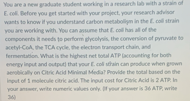 You are a new graduate student working in a research lab with a strain of 
E. coli. Before you get started with your project, your research advisor 
wants to know if you understand carbon metabolişm in the E. coli strain 
you are working with. You can assume that E. coli has all of the 
components it needs to perform glycolysis, the conversion of pyruvate to 
acetyl-CoA, the TCA cycle, the electron transport chain, and 
fermentation. What is the highest net total ATP (accounting for both 
energy input and output) that your E. coli strain can produce when grown 
aerobically on Citric Acid Minimal Media? Provide the total based on the 
input of 1 molecule citric acid. The input cost for Citric Acid is 2 ATP. In 
your answer, write numeric values only. (If your answer is 36 ATP, write
36)