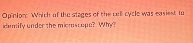 Opinion: Which of the stages of the cell cycle was easiest to 
identify under the microscope? Why?