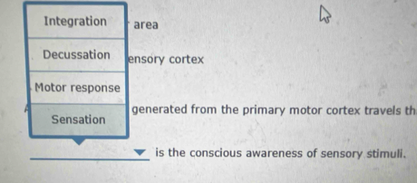 Integration area 
Decussation ensory cortex 
Motor response 
A generated from the primary motor cortex travels th 
Sensation 
_is the conscious awareness of sensory stimuli.