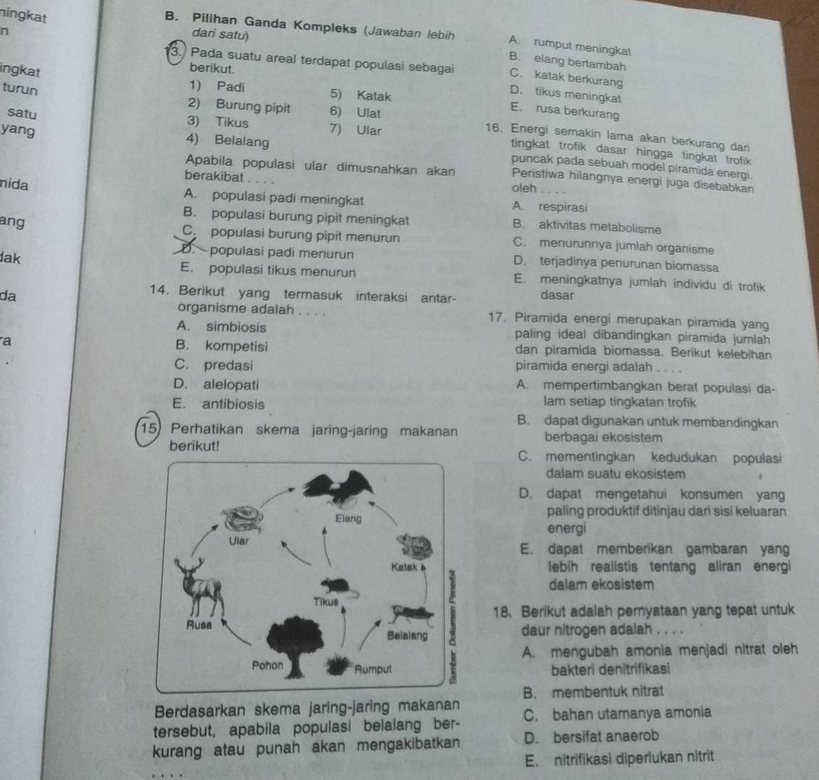 ningkat
n
B. Pilihan Ganda Kompleks (Jawaban lebih A. rumput meningkat
dari satu)
B. elang bertambah
3. Pada suatu areal terdapat populasi sebagai C. katak berkurang
ingkat
berikut.
turun
D. tikus meningkat
1) Padi 5) Katak E. rusa berkurang
2) Burung pipit 6) Ulat
satu 3) Tikus 7) Ular
yang 4) Belalang
16. Energi semakin lama akan berkurang dari
tingkat trofik dasar hingga tingkat trofik 
puncak pada sebuah model piramida energi.
Apabila populasi ular dimusnahkan akan Peristiwa hilangnya energi juga disebabkan
berakibat oleh  
nida
A. populasi padi meningkat A. respirasi
B. populasi burung pipit meningkat B. aktivitas metabolisme
ang
C. populasi burung pipit menurun C. menurunnya jumlah organisme
D. populasi padí menurun D. terjadinya penurunan biomassa
lak E. populasi tikus menurun E. meningkatnya jumlah individu di trofik
14. Berikut yang termasuk interaksi antar-
da dasar
organisme adalah . . . . 17. Piramida energi merupakan piramida yang
A. simbiosis paling ideal dibandingkan piramida jumlah
a B. kompetisi dan piramida biomassa. Berikut kelebihan
C. predasi piramida energi adalah
D. alelopati A. mempertimbangkan berat populasi da-
E. antibiosis lam setiap tingkatan trofik
B. dapat digunakan untuk membandingkan
15) Perhatikan skema jaring-jaring makanan berbagai ekosistem
berikut! C. mementingkan kedudukan populasi
dalam suatu ekosistem
D. dapat mengetahui konsumen yang
paling produktif ditinjau dari sisi keluaran
energi
E. dapat memberikan gambaran yang
lebih realistis tentang aliran energi
dalam ekosistem
18. Berikut adalah pernyataan yang tepat untuk
daur nitrogen adalah . . . .
A. mengubah amonia menjadi nitrat oleh
bakteri denitrifikasi
B. membentuk nitrat
Berdasarkan skema jaring-jaring makanan
tersebut, apabila populasi belalang ber- C. bahan utamanya amonia
kurang atau punah akan mengakibatkan D. bersifat anaerob
E. nitrifikasi diperlukan nitrit