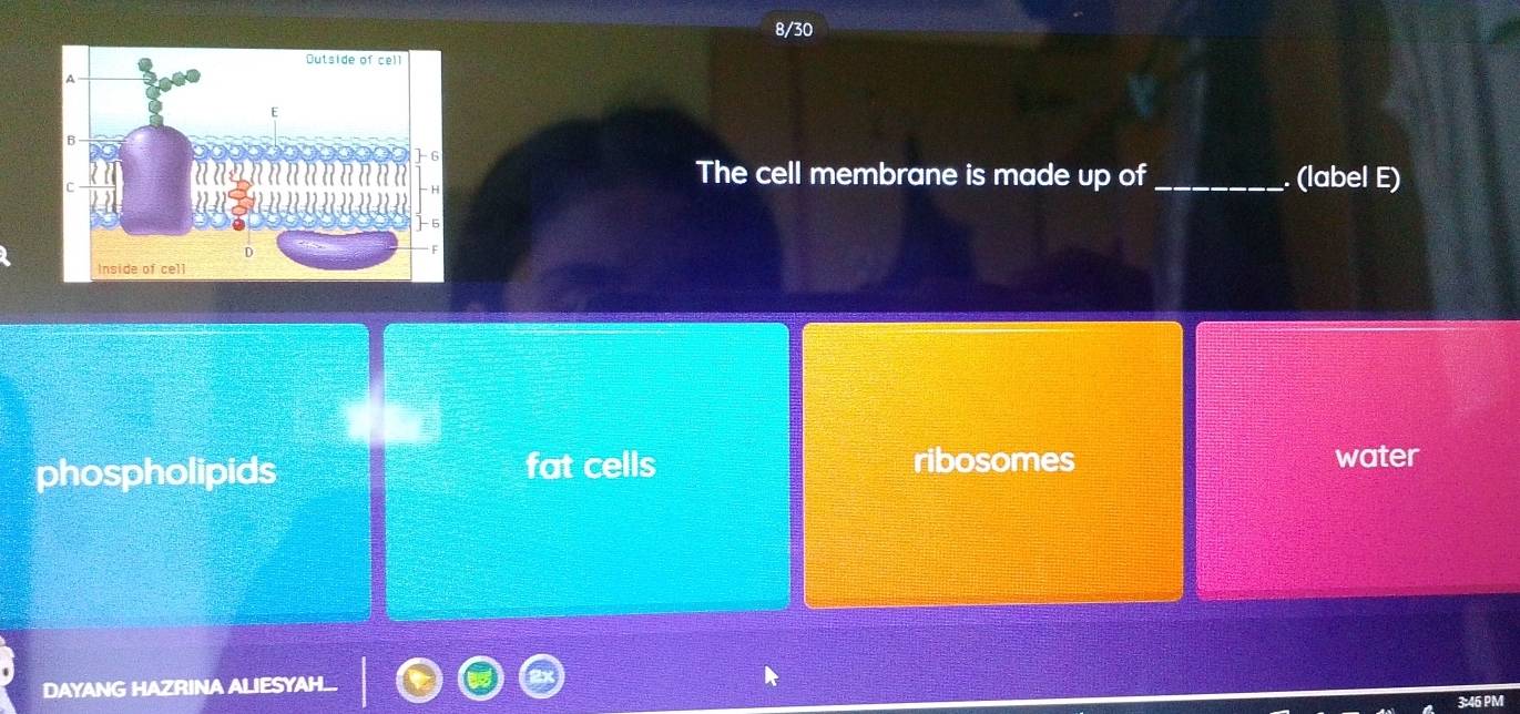 8/30
The cell membrane is made up of _. (label E)
phospholipids fat cells ribosomes water
DAYANG HAZRINA ALIESYAH...