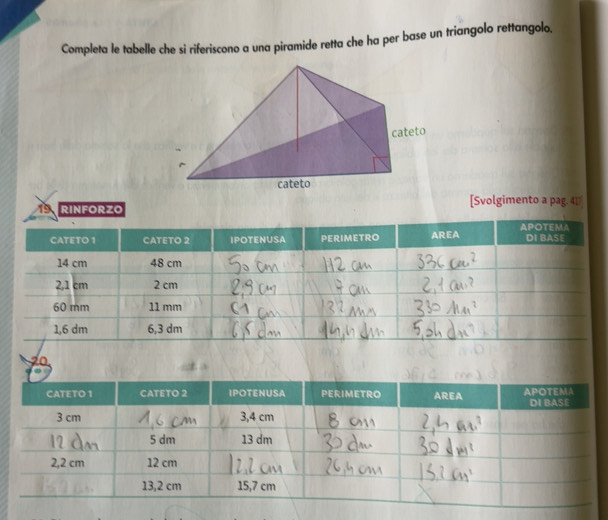 Risolto:Completa le tabelle che si riferiscono a una piramide retta che ...