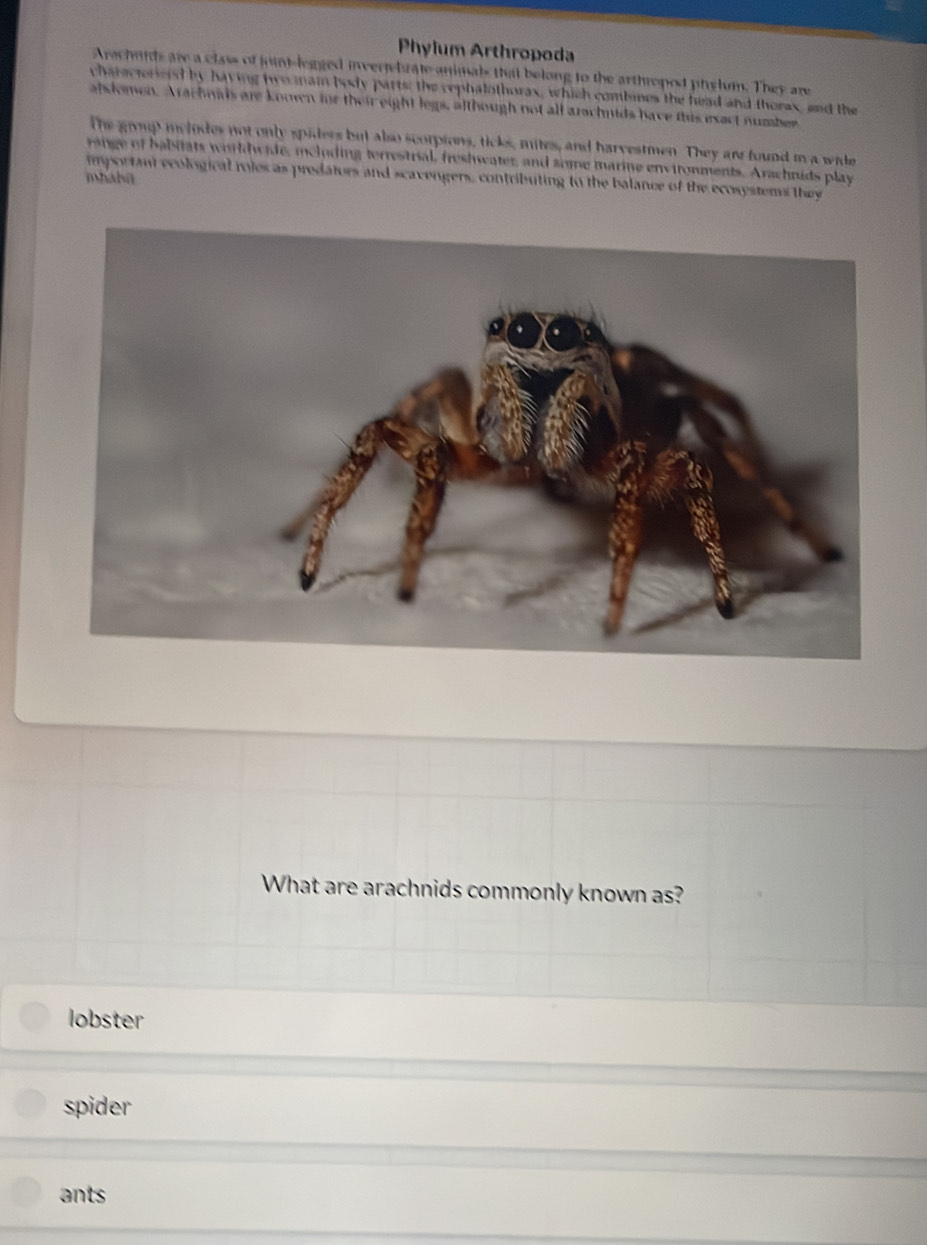 Phylum Arthropoda
Arachurds are a class of joint-legged inverfebrate animals that belong to the arthropod phylum. They are
characterieed by having ho mai body parts: the cephalothorax, which combines the head and thorax, and the
abdomen. Arachonds are knoven for their eight legs, although not all arschids have this exact number
The group melodes not only spiders but also scorpions, ticks, mites, and harvestmen They are found in a wide
ang of b abitats worldwide, mcluding terrestrial, freshwater, and some marine envitonments. Arachnids play
important ecological roles as predators and scavengers, contributing to the balance of the ecosystems they
mhahn
What are arachnids commonly known as?
lobster
spider
ants