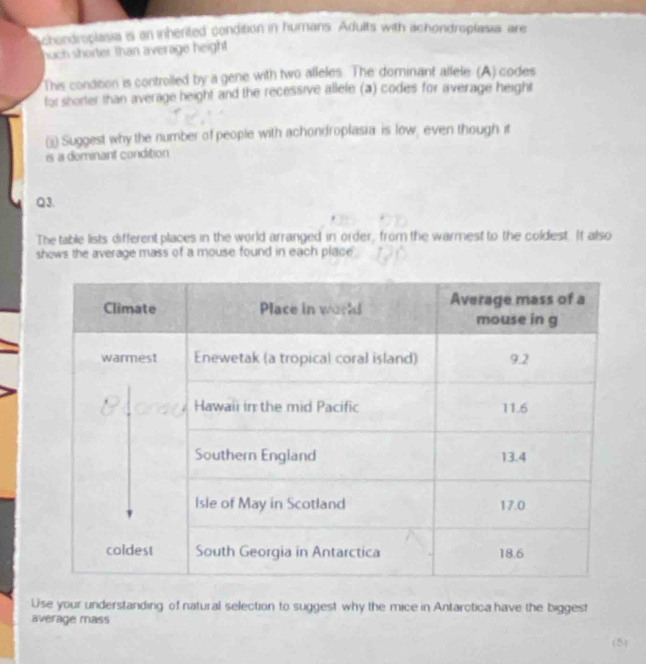 chondroplasia is an inherited condition in humans. Adults with achondroplasia are 
nuch shorter than average height 
This condition is controlled by a gene with two alleles. The dominant allele. (A) codes 
for shorter than average height and the recessive allele (a) codes for average height 
i Suggest why the number of people with achondroplasia is low, even though it 
is a deminant condition 
Q3. 
The table lists different places in the world arranged in order, from the warmest to the coldest. It also 
shows the average mass of a mouse found in each place 
Use your understanding of natural selection to suggest why the mice in Antarctica have the biggest 
average mass