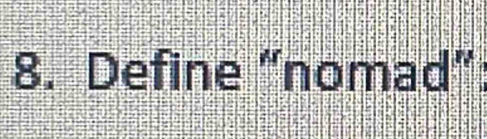 Define “nomad”