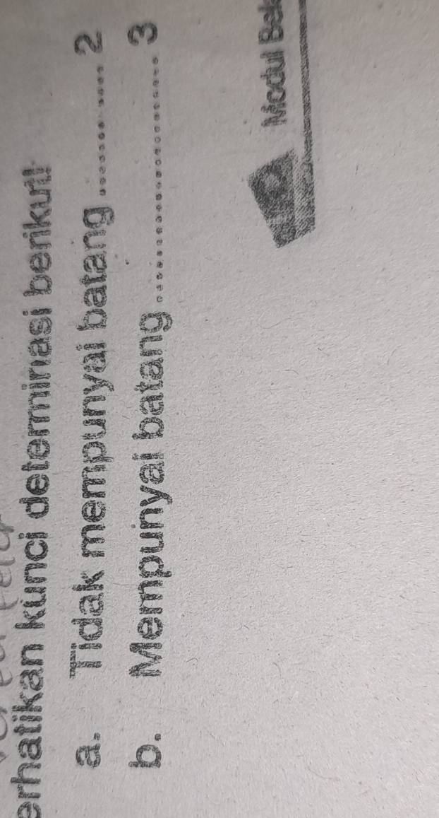 erhatikan kùnci determinasi berikut! 
a. Tidak mempunyai batang 、_ 
2 
b. Mempunyai batang_ 
3 
Modul Bell