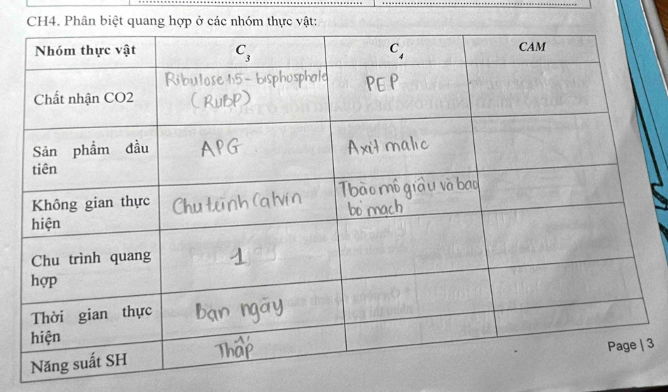 CH4. Phân biệt quang hợp ở các nhóm thực vật:
3