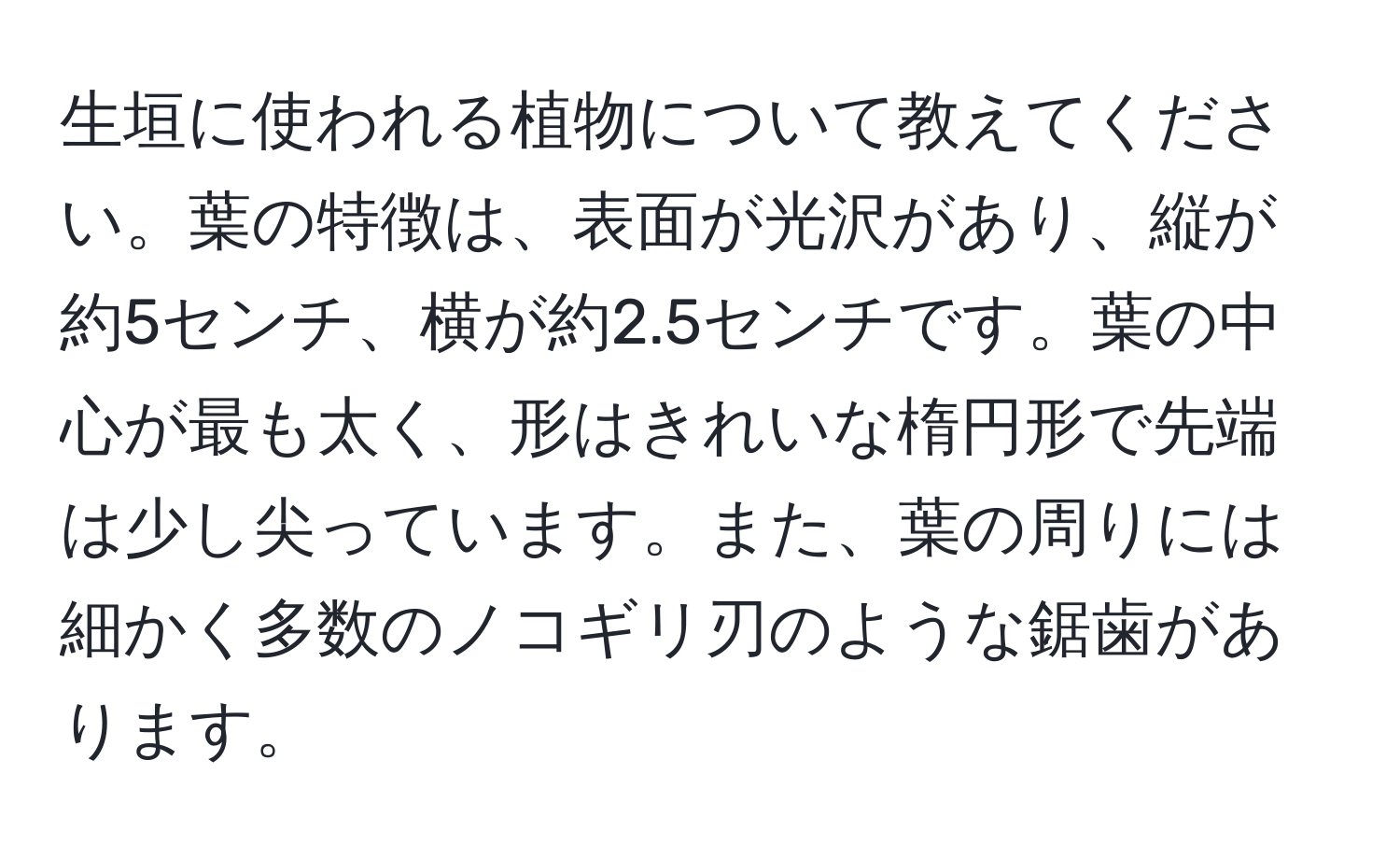 生垣に使われる植物について教えてください。葉の特徴は、表面が光沢があり、縦が約5センチ、横が約2.5センチです。葉の中心が最も太く、形はきれいな楕円形で先端は少し尖っています。また、葉の周りには細かく多数のノコギリ刃のような鋸歯があります。