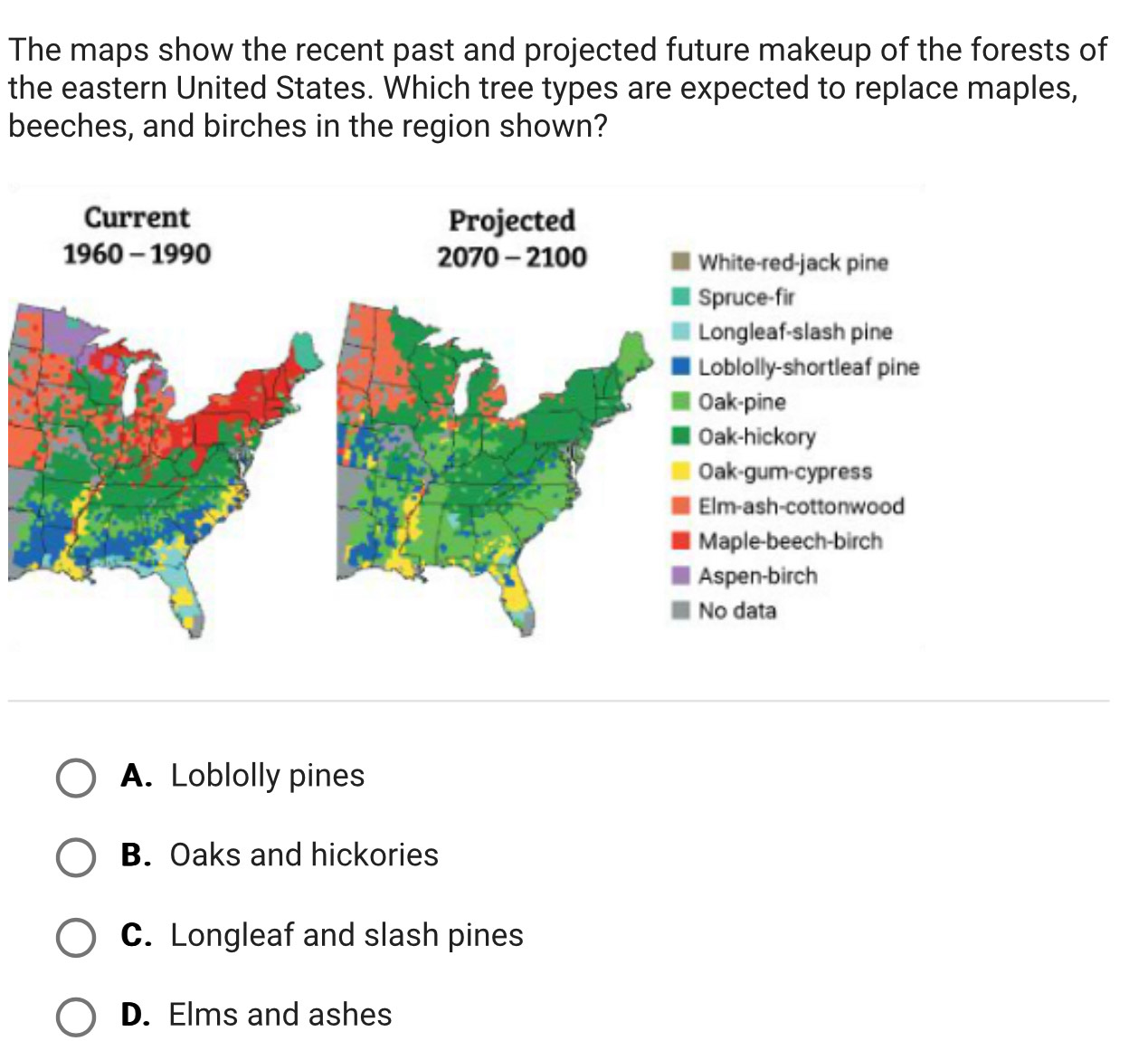 The maps show the recent past and projected future makeup of the forests of
the eastern United States. Which tree types are expected to replace maples,
beeches, and birches in the region shown?
ite-red-jack pine
ruce-fir
ngleaf-slash pine
blolly-shortleaf pine
k-pine
k-hickory
k-gum-cypress
-ash-cottonwood
ple-beech-birch
pen-birch
data
A. Loblolly pines
B. Oaks and hickories
C. Longleaf and slash pines
D. Elms and ashes