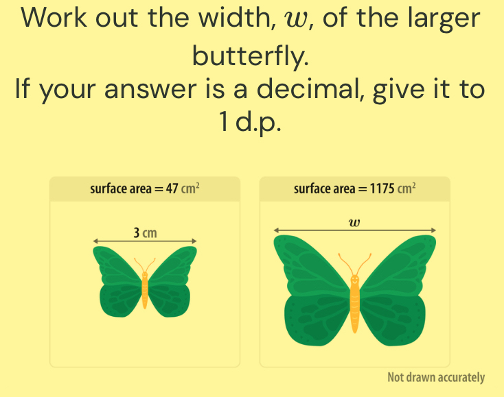 Work out the width, w, of the larger 
butterfly. 
If your answer is a decimal, give it to 
1 d.p. 
surface area =47cm^2 surface area =1175cm^2
3 cm
Not drawn accurately