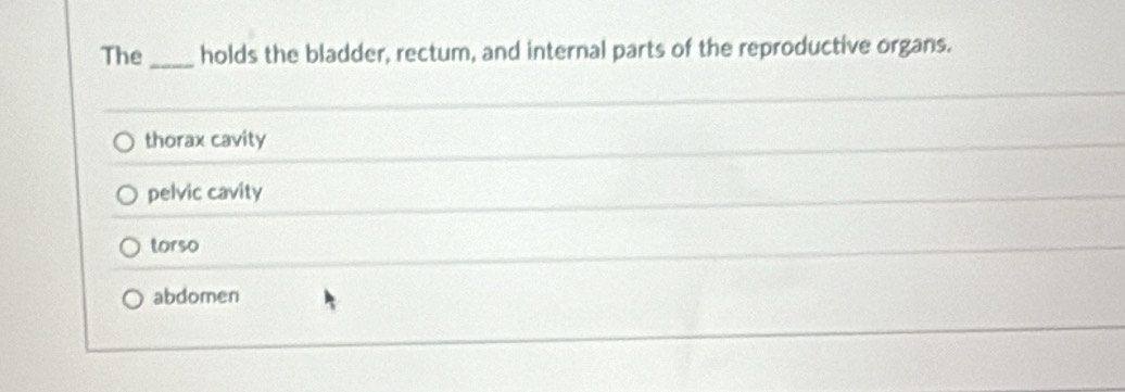The_ holds the bladder, rectum, and internal parts of the reproductive organs.
thorax cavity
pelvic cavity
torso
abdomen