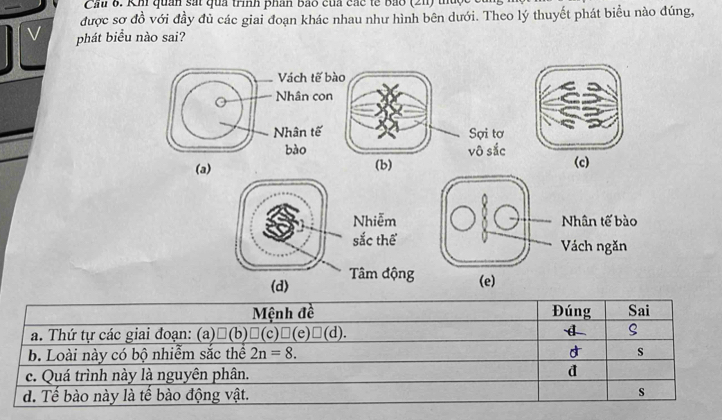 Cầu 6. Khi quan sắt qua trình phân bao của các tế bảo (21) thủ
được sợ đồ với đầy đủ các giai đoạn khác nhau như hình bên dưới. Theo lý thuyết phát biểu nào đúng,
v phát biểu nào sai?
Vách tế bào
0 Nhân con
Nhân tế Sợi tơ
bào vô sắc
(a) (b) (c)
Nhiễm
sắc thể
(d) Tâm độn
Mệnh đề Đúng Sai
a. Thứ tự các giai đoạn: (a) □ (b)□ (c)□ (e)□ (d). S
b. Loài này có bộ nhiễm sắc thể 2n=8. d s
c. Quá trình này là nguyên phân. d
d. Tế bào này là tế bào động vật. s