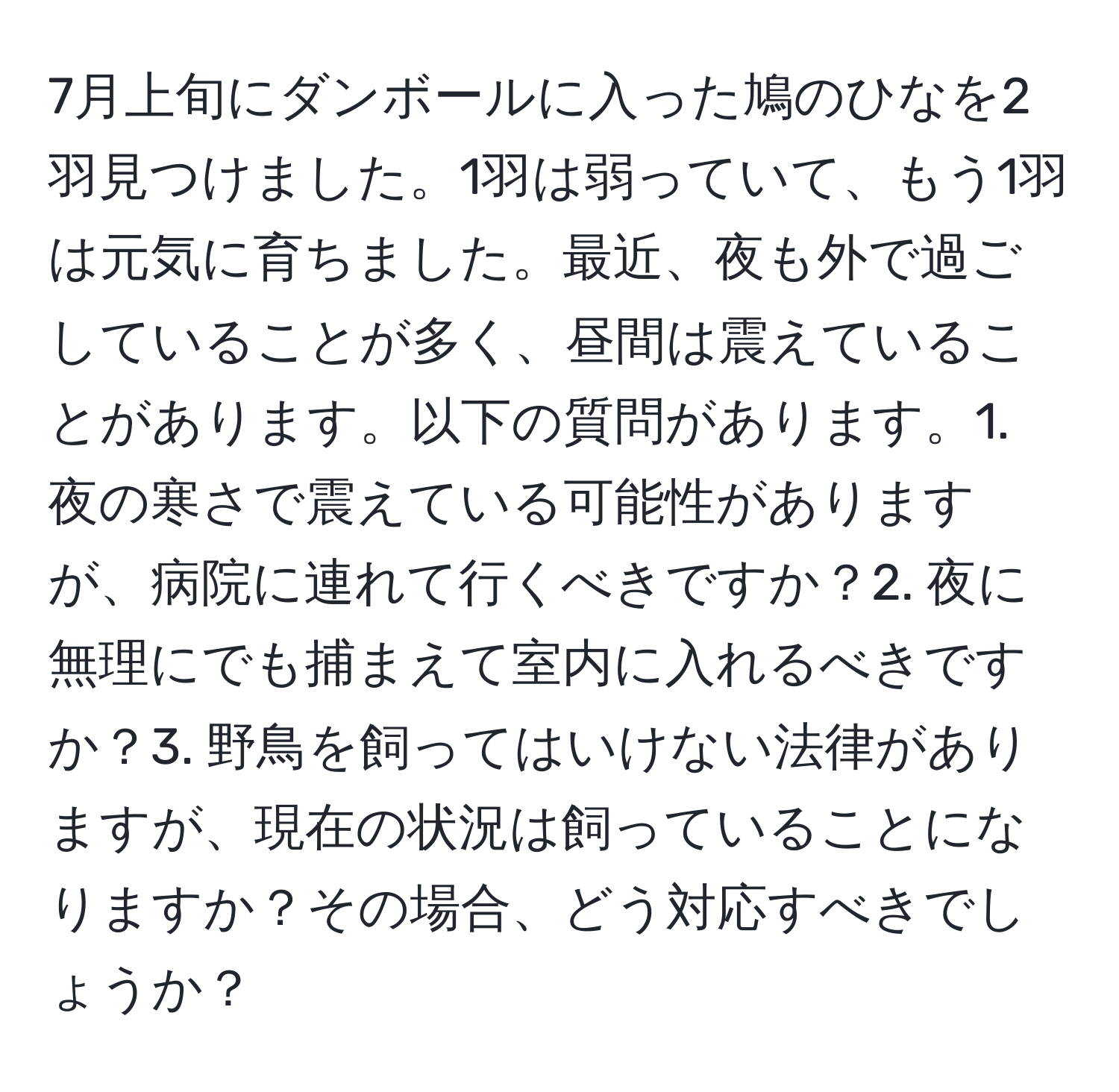 7月上旬にダンボールに入った鳩のひなを2羽見つけました。1羽は弱っていて、もう1羽は元気に育ちました。最近、夜も外で過ごしていることが多く、昼間は震えていることがあります。以下の質問があります。1. 夜の寒さで震えている可能性がありますが、病院に連れて行くべきですか？2. 夜に無理にでも捕まえて室内に入れるべきですか？3. 野鳥を飼ってはいけない法律がありますが、現在の状況は飼っていることになりますか？その場合、どう対応すべきでしょうか？