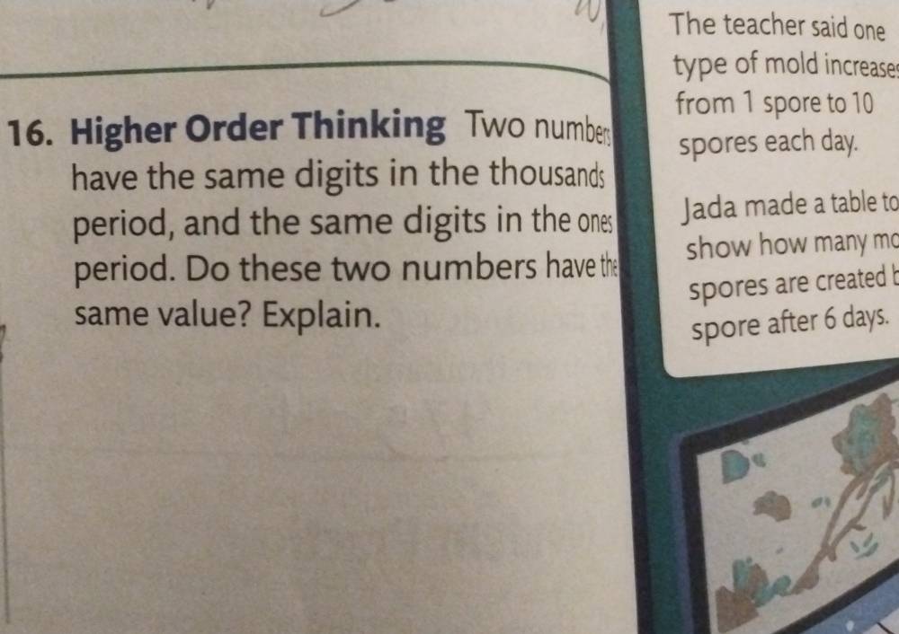 The teacher said one 
type of mold increase 
from 1 spore to 10
16. Higher Order Thinking Two number 
spores each day. 
have the same digits in the thousands 
period, and the same digits in the ones Jada made a table to 
period. Do these two numbers have the show how many mo 
spores are created b 
same value? Explain. 
spore after 6 days.