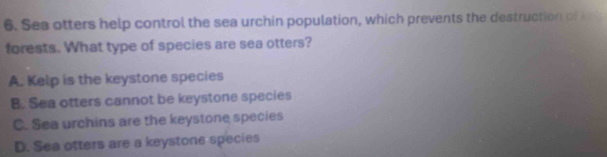 Sea otters help control the sea urchin population, which prevents the destruction of kok
forests. What type of species are sea otters?
A. Kelp is the keystone species
B. Sea otters cannot be keystone species
C. Sea urchins are the keystone species
D. Sea otters are a keystone species