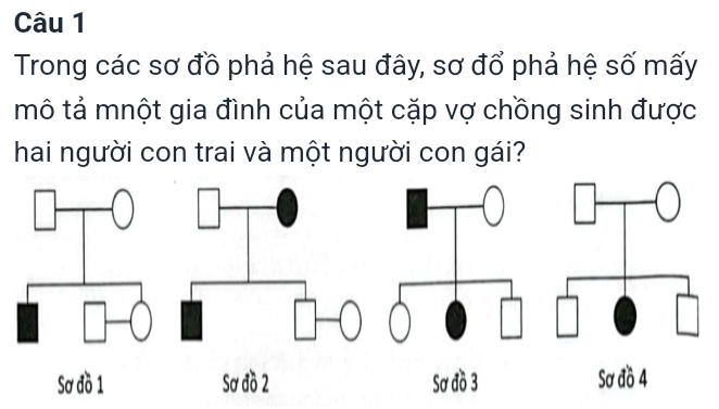 Trong các sơ đồ phả hệ sau đây, sơ đổ phả hệ số mấy
mô tả mnột gia đình của một cặp vợ chồng sinh được
hai người con trai và một người con gái?
Sơ đồ 1 Sơ đồ 2 Sơ đồ 4