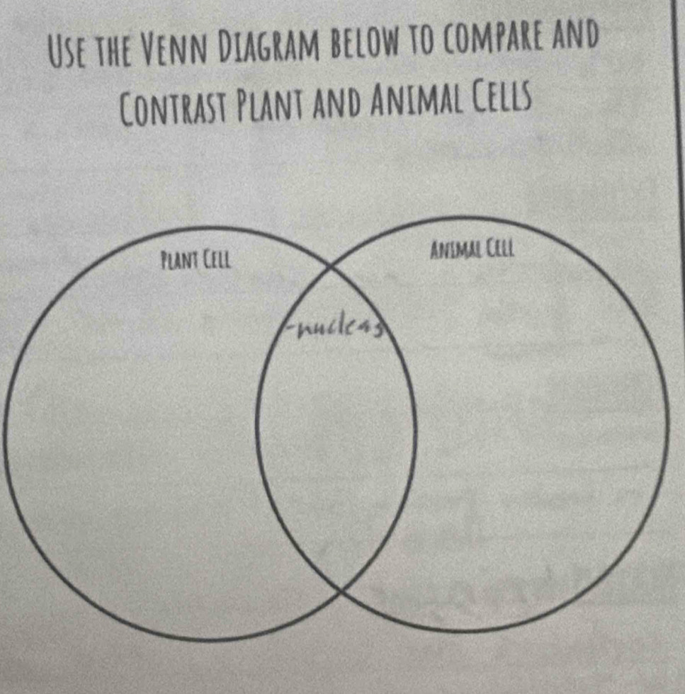 Use the Venn Diagram below to compare and 
Contrast Plant and Animal Cells