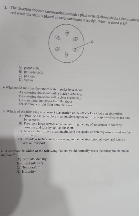 The diagram shows a cross-section through a plant stem. Q shows the part that is stained
red when the stem is placed in water containing a red dye. What is found at Q?
Q
A) guard cells
B) palisade cells
C) phloem
D) xylem
4.What could increase the rate of water uptake by a shoot?
A) covering the shoot with a black plastic bag
B) covering the shoot with a clear plastic bag
C) removing the leaves from the shoot
D) shining a bright light onto the shoot
5. Which of the following is a correct explanation of the effect of root hairs on absorption?
A) Provide a large surface area, maximising the rate of absorption of water and ions
by osmosis.
B) Provide a large surface area, maximising the rate of absorption of water by
osmosis and ions by active transport.
C) Increase the surface area, maximising the uptake of water by osmosis and ions by
diffusion.
D) Provide a surface area, increasing the rate of absorption of water and ions by
active transport.
6. A decrease in which of the following factors would normally cause the transpiration rate to
increase?
A) Stomatal density
B) Light intensity
C) Temperature
D) Humidity